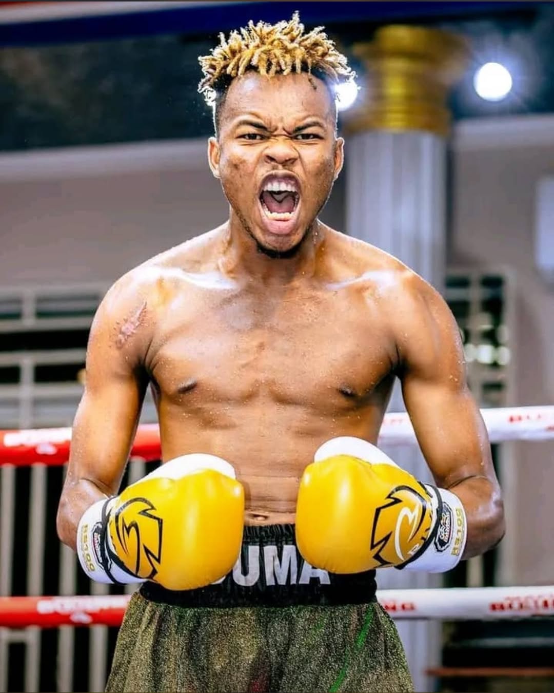 Boxer 1